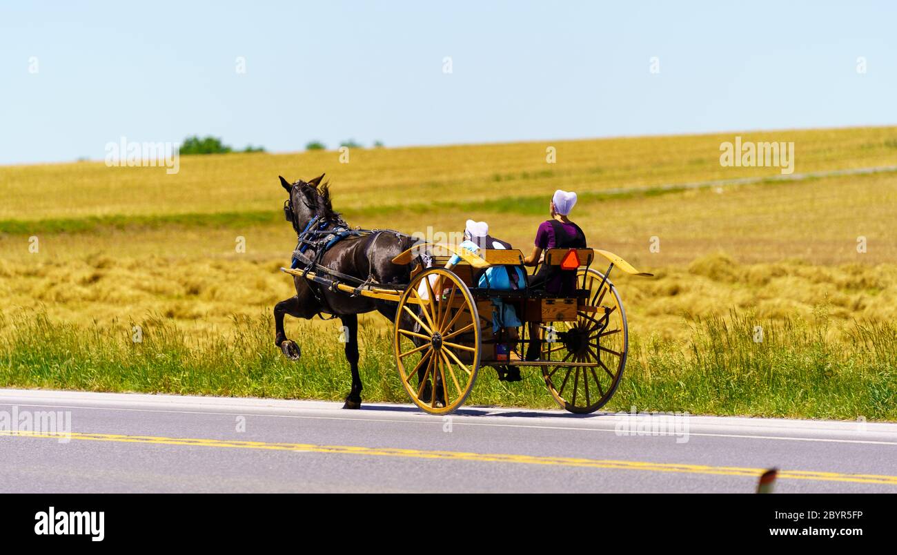 Gordonville, PA, USA / June 8, 2020: Two young Amish girls ride in a two wheel horse-drawn cart along a rural  road Lancaster County. Stock Photo