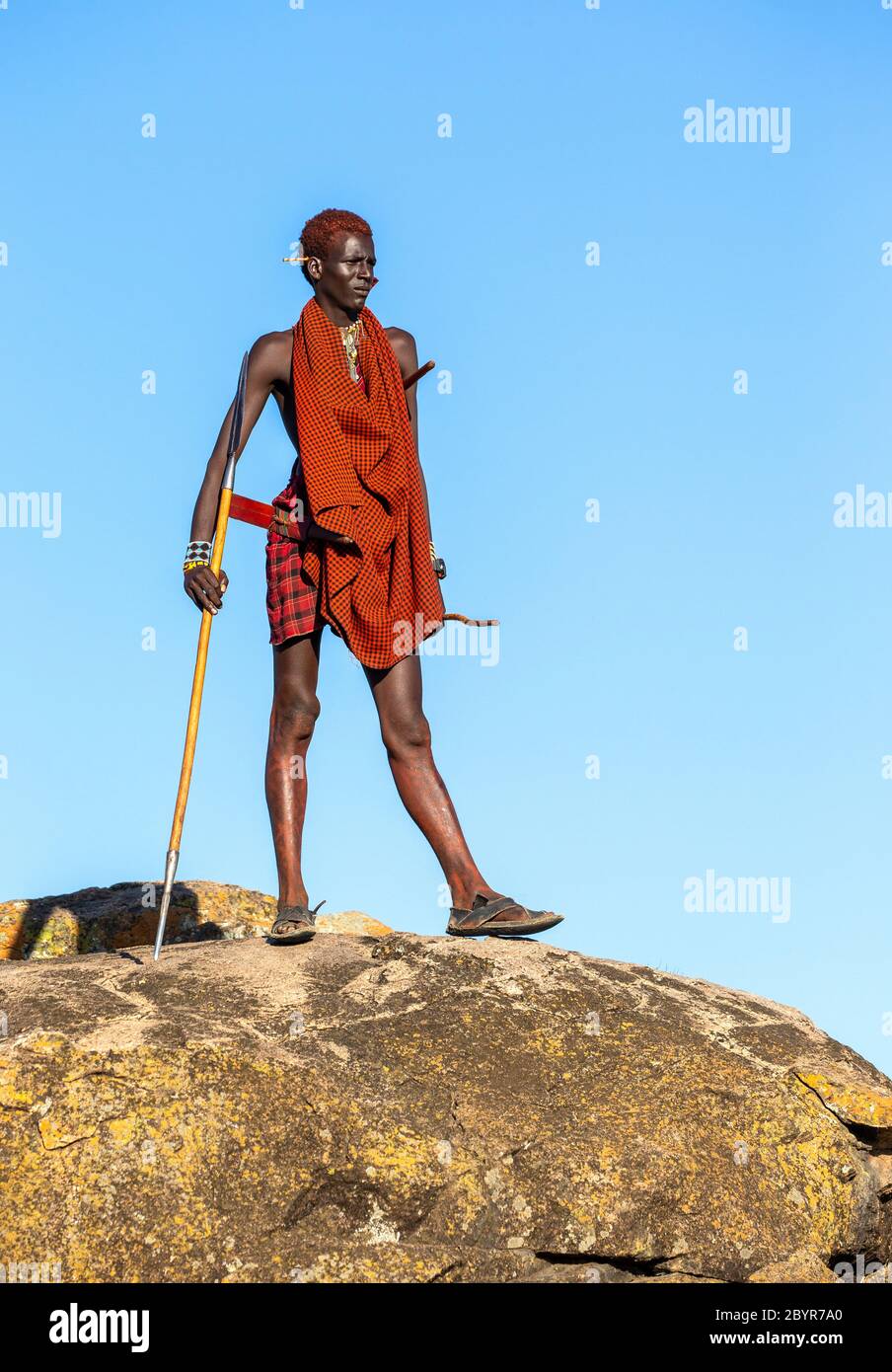 Young Masai warrior is standing on a big stone in traditional clothing with a spear in the savannah against a blue sky. Tanzania, East Africa. Stock Photo