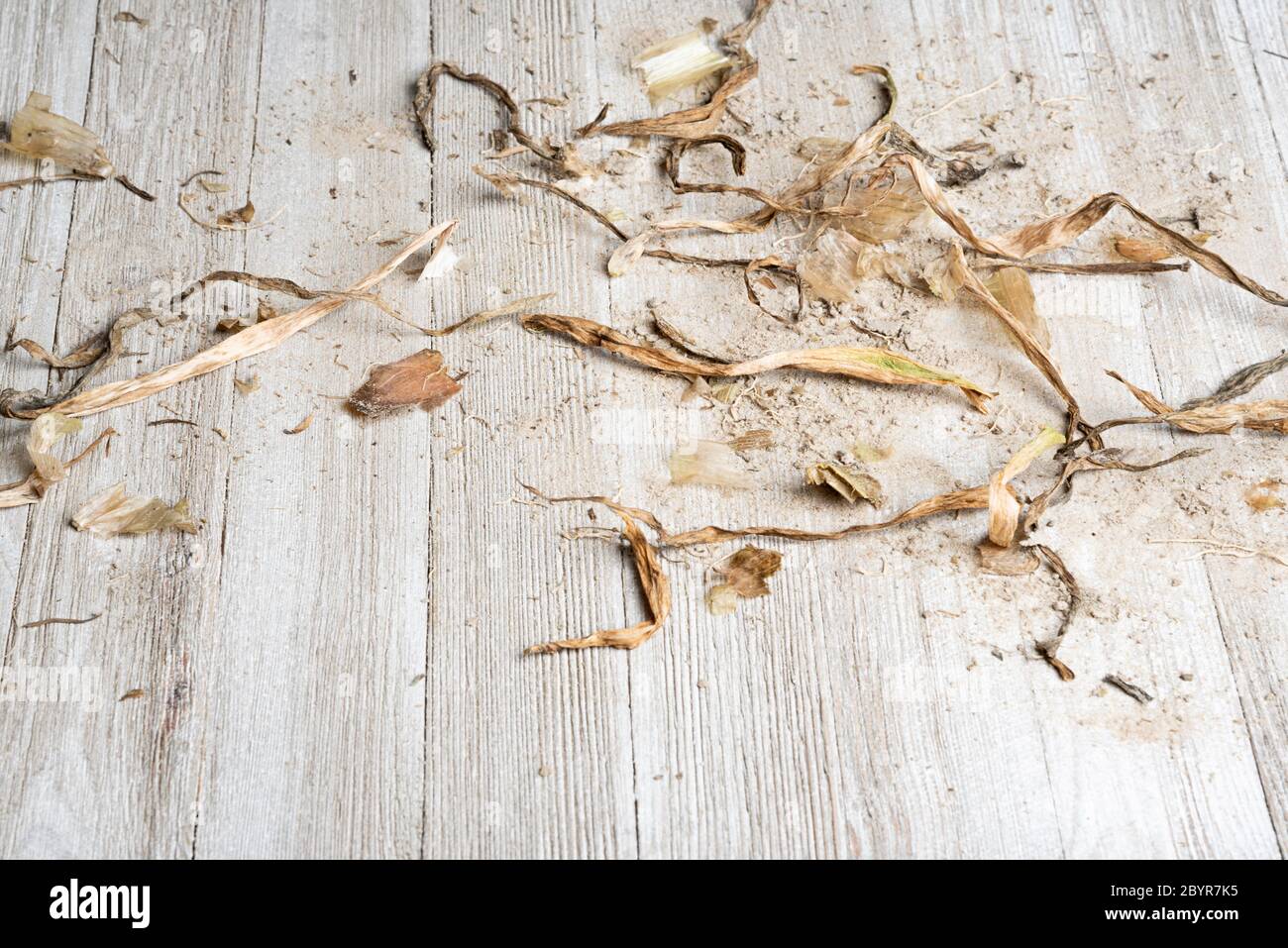 An artfully arranged generic flat background texture wood panel layout with a mix of sand and organic matter in natural earthy hues and tones. Stock Photo
