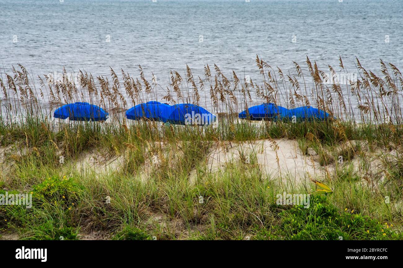 Blue colored umbrellas on Fernandina Beach, on Amelia Island in Florida Stock Photo