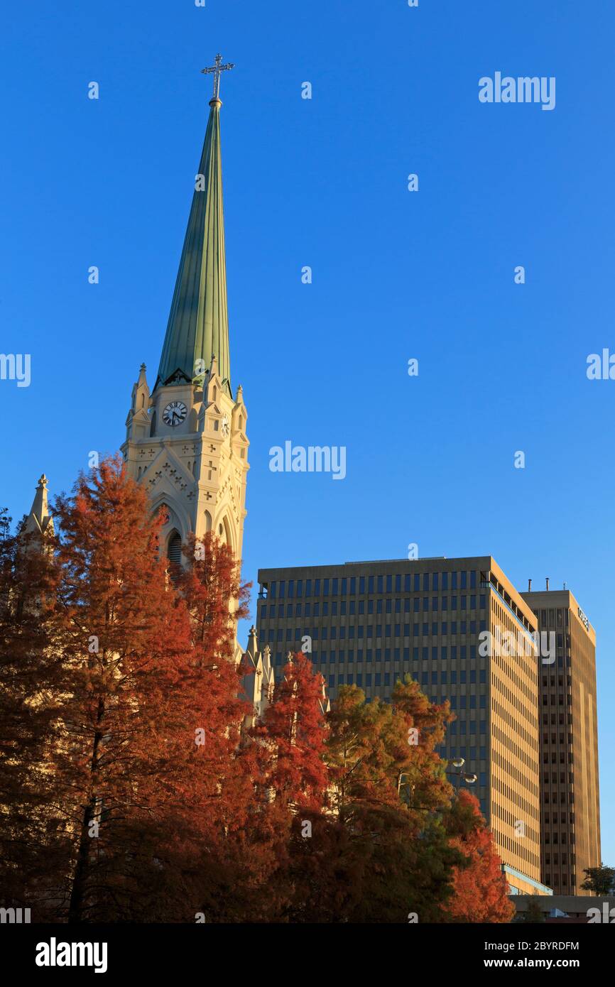St joseph cathedral hires stock photography and images Alamy