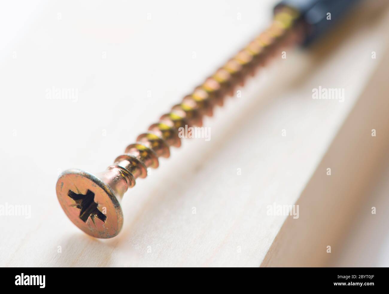 Close up of a crosshead screw in a rawlplug Stock Photo