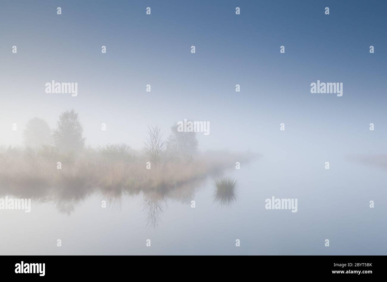 tree island on lake in dense fog Stock Photo