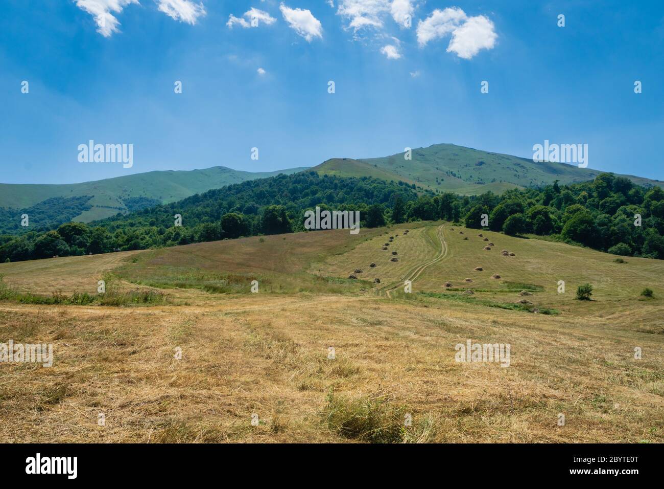 Summer meadow camping hi-res stock photography and images - Alamy
