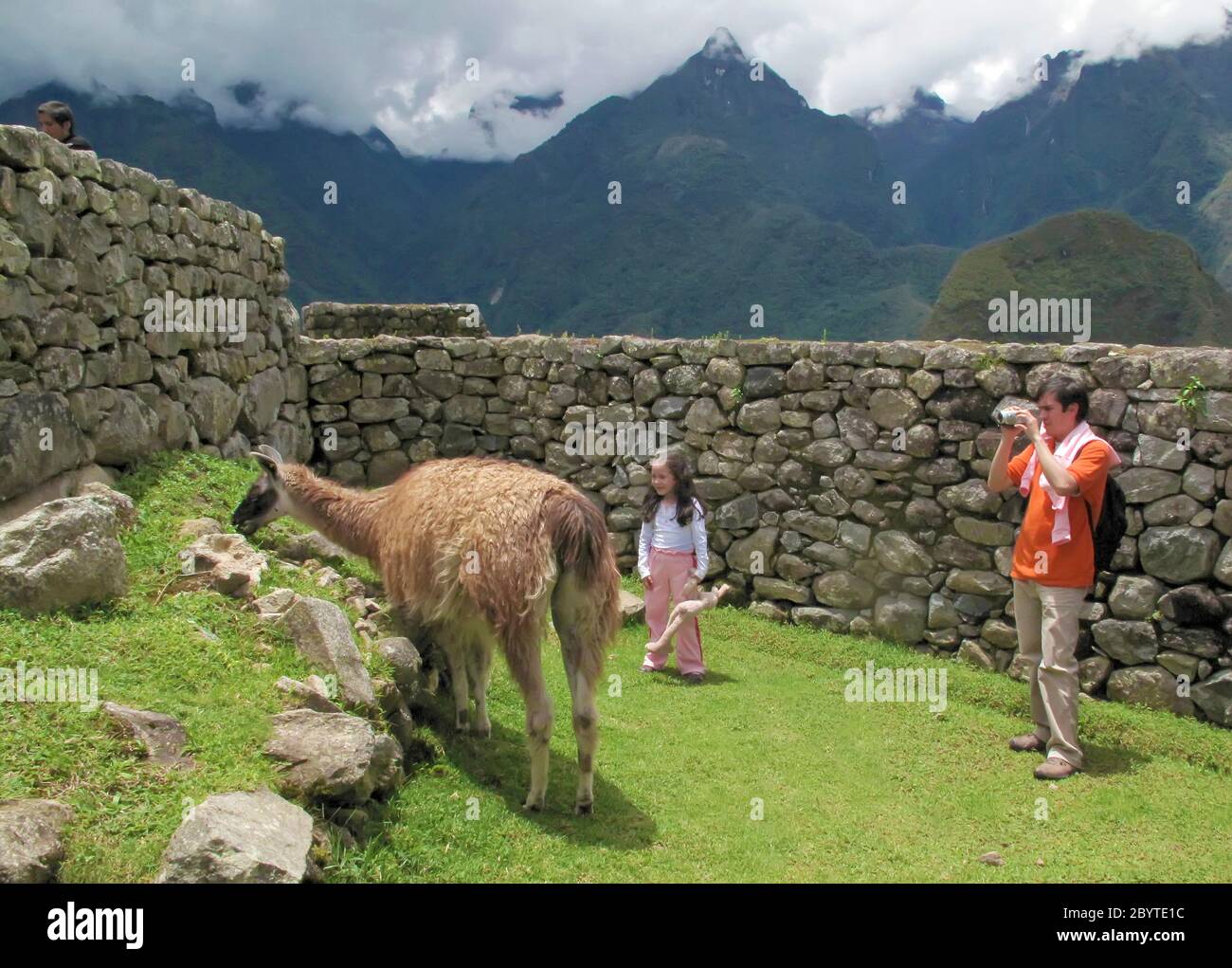 Man and girl looking at llama in Machu Picchu, Peru Stock Photo