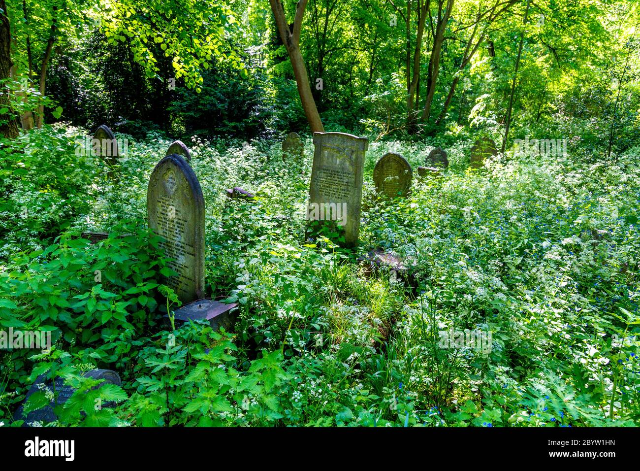 Tower Hamlets Cemetery Park, London, UK Stock Photo