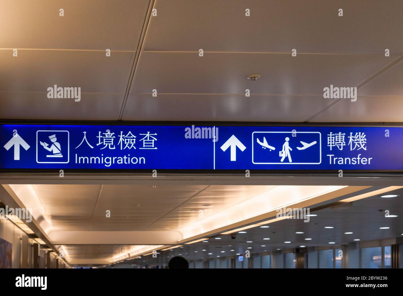 Airport transfer sign - immigration sign and international flight transfer information sign / icon at airport in English and Chinese Stock Photo