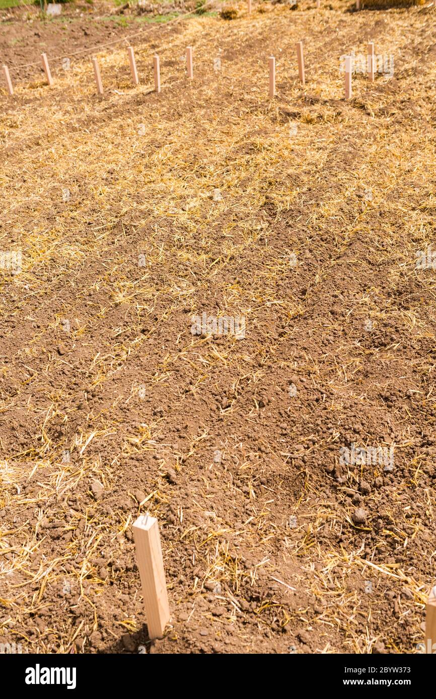 Sustainable community garden hi-res stock photography and images - Alamy
