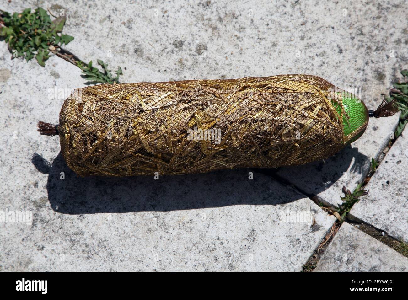 Barley Straw float used to clear algae green water in Ponds Stock Photo