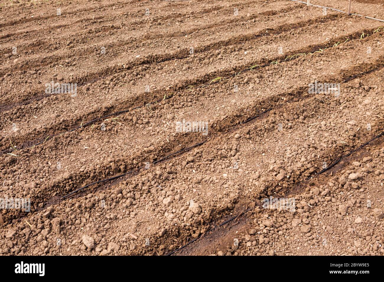 Ridge Planting System High Resolution Stock Photography and Images - Alamy