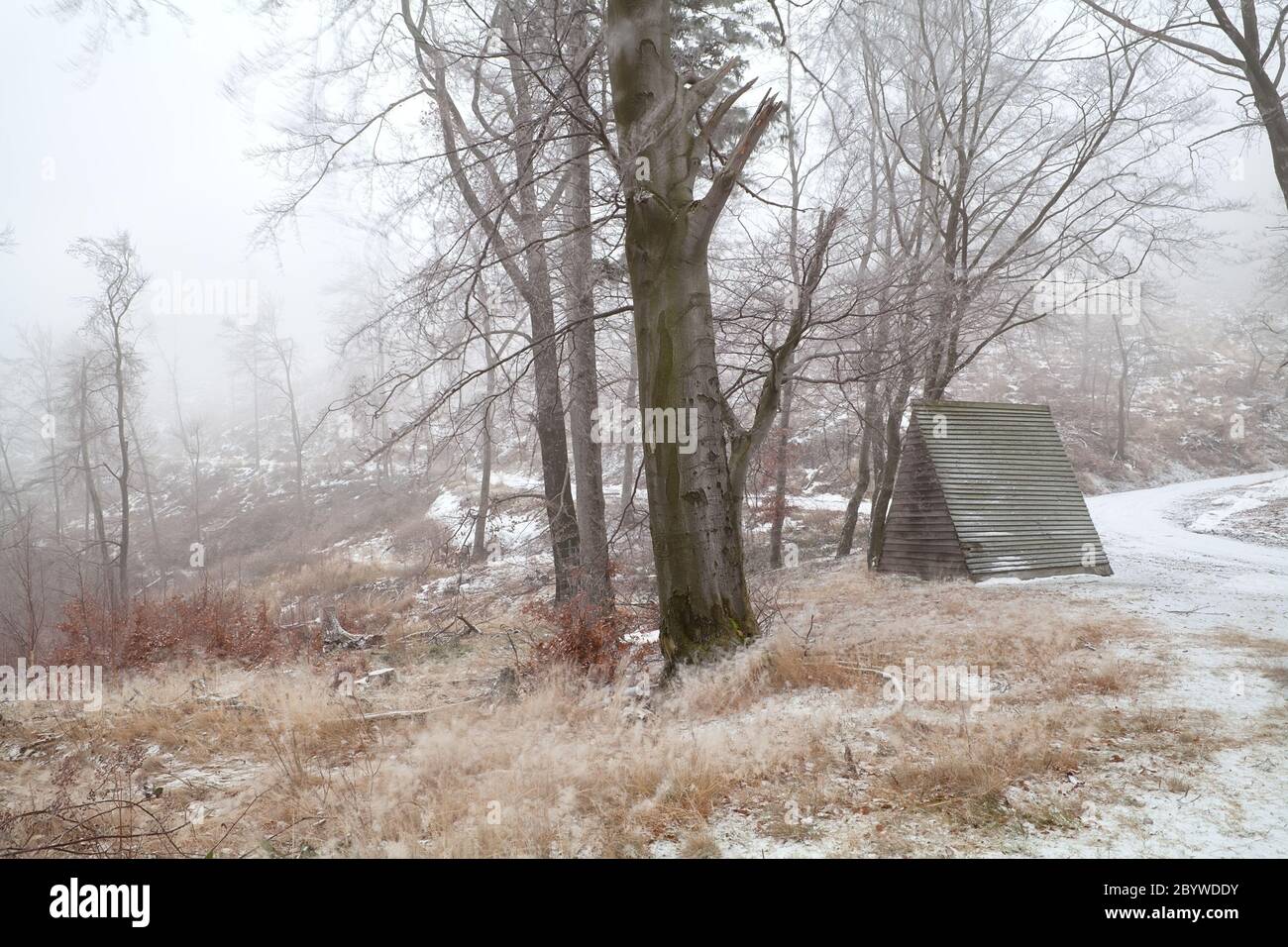 wooden hut in snowy forest Stock Photo - Alamy