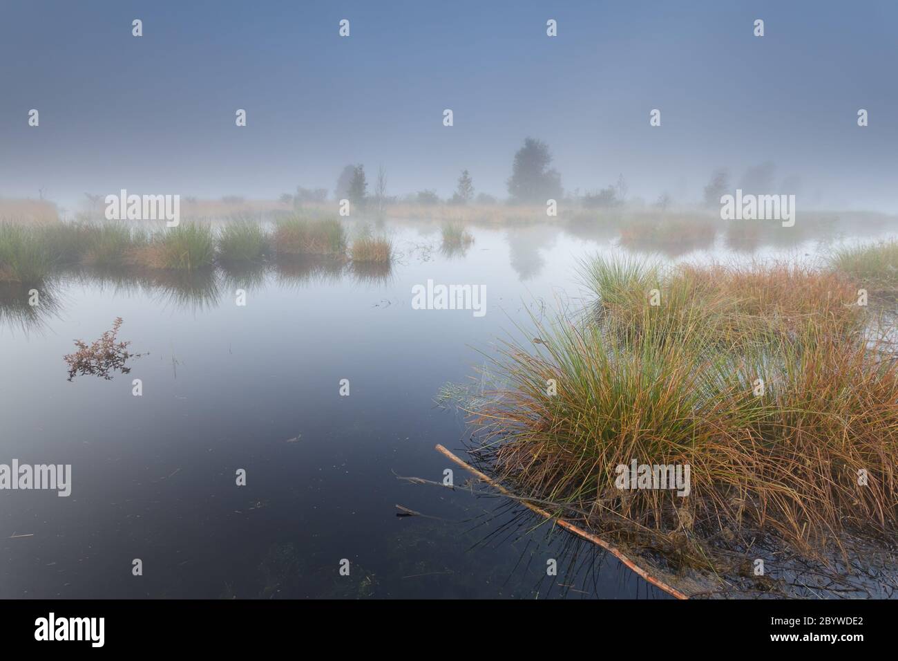 misty morning on wild lake Stock Photo - Alamy
