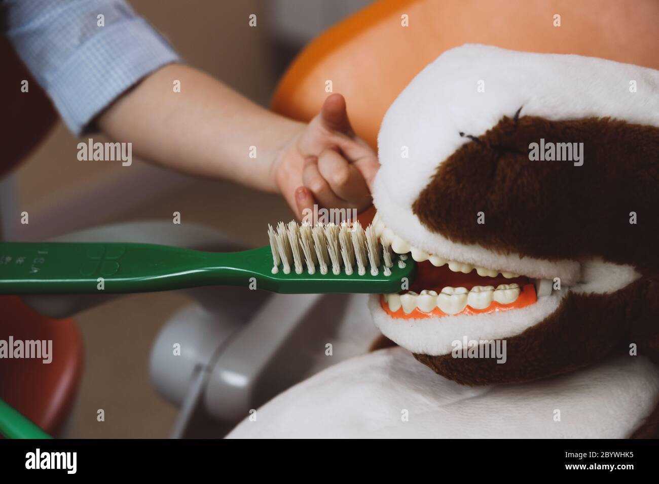Horse Mask Brushing Teeth
