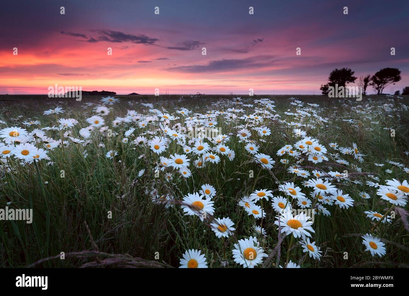 Sunrise over field red white hi-res stock photography and images - Alamy