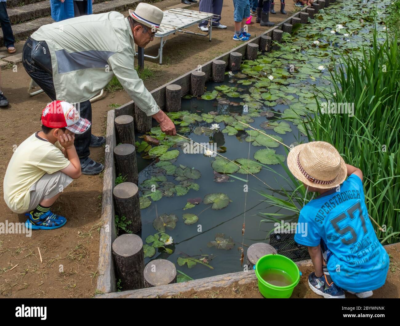 Children and family enjoying fishing in a pond during Suigo Itako Iris Festival, Ibaraki, Japan Stock Photo