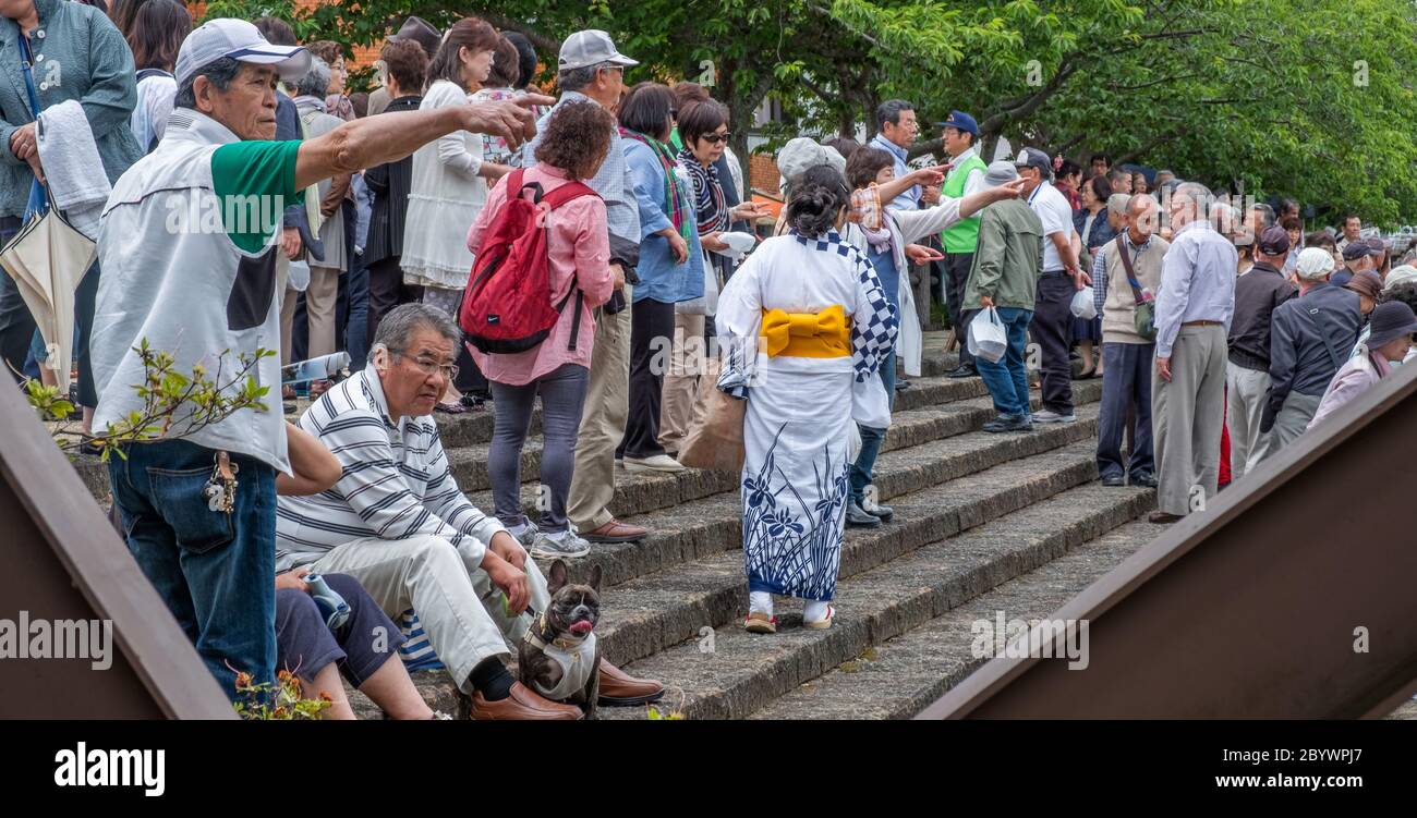 Tourists and visitors at Suigo Itako Iris Annual Festival, Ibaraki, Japan Stock Photo