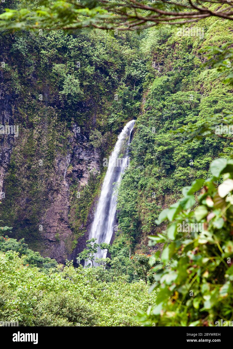 Tahiti nature hi-res stock photography and images - Alamy