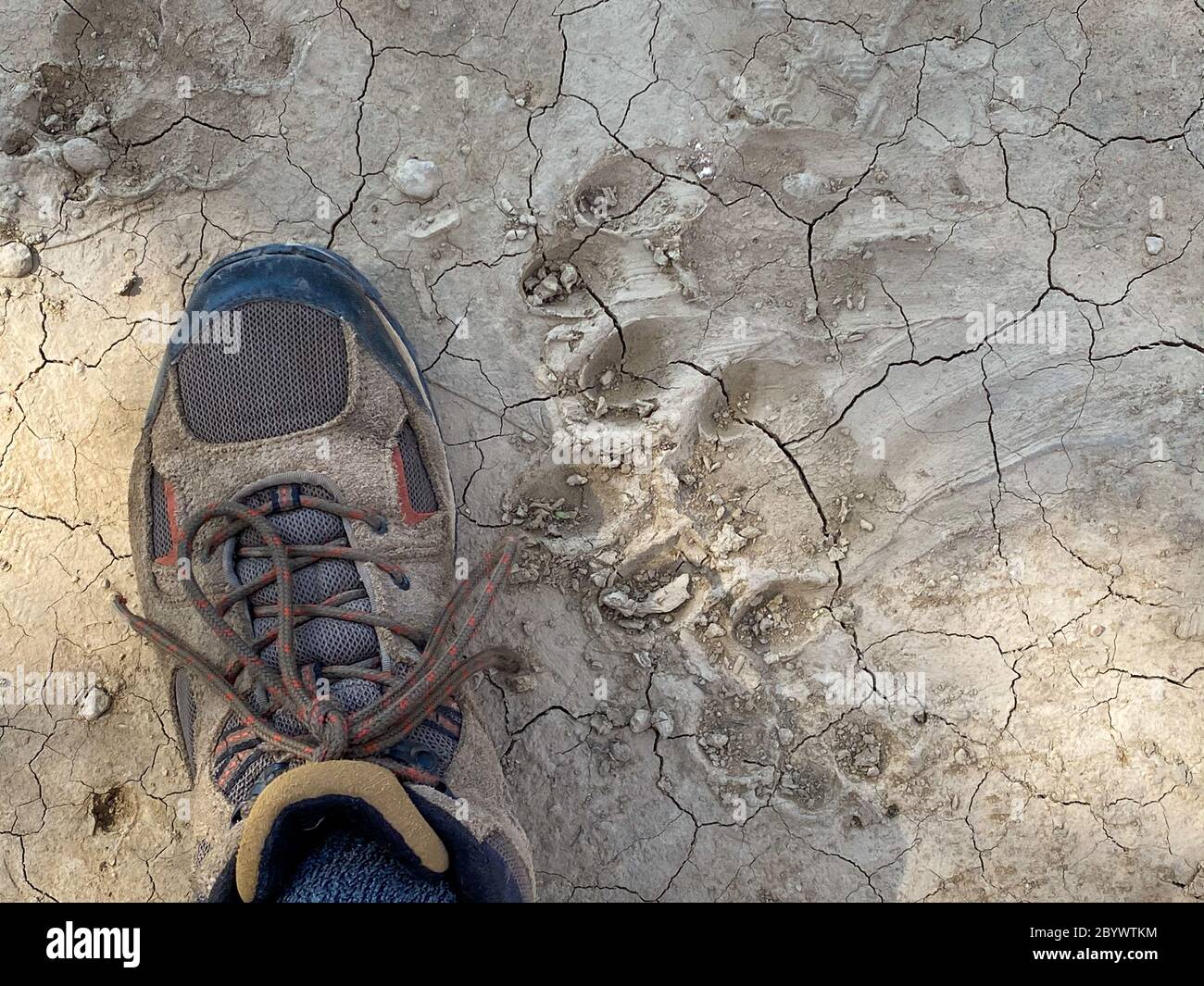 South foot hi-res stock photography and images - Alamy