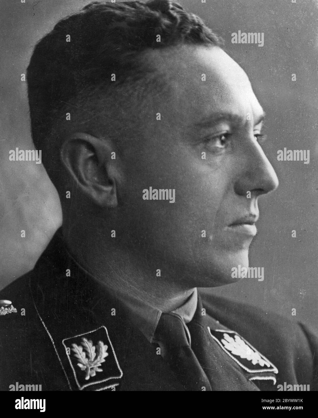 German SS-Obergruppenführer, a general with the Waffen-SS and Member of Parliament for the NSDAP in the Reichstag ca. 1939-1940 Stock Photo