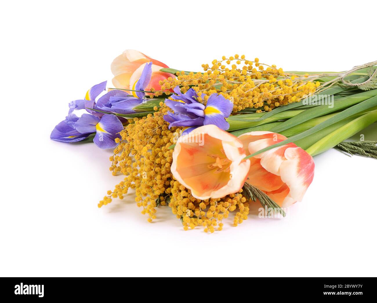 Spring flowers isolated on white background Stock Photo - Alamy