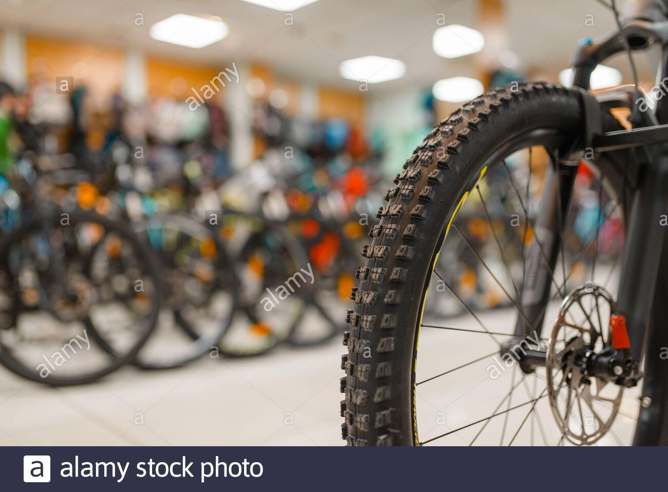 professional bikes for sale
