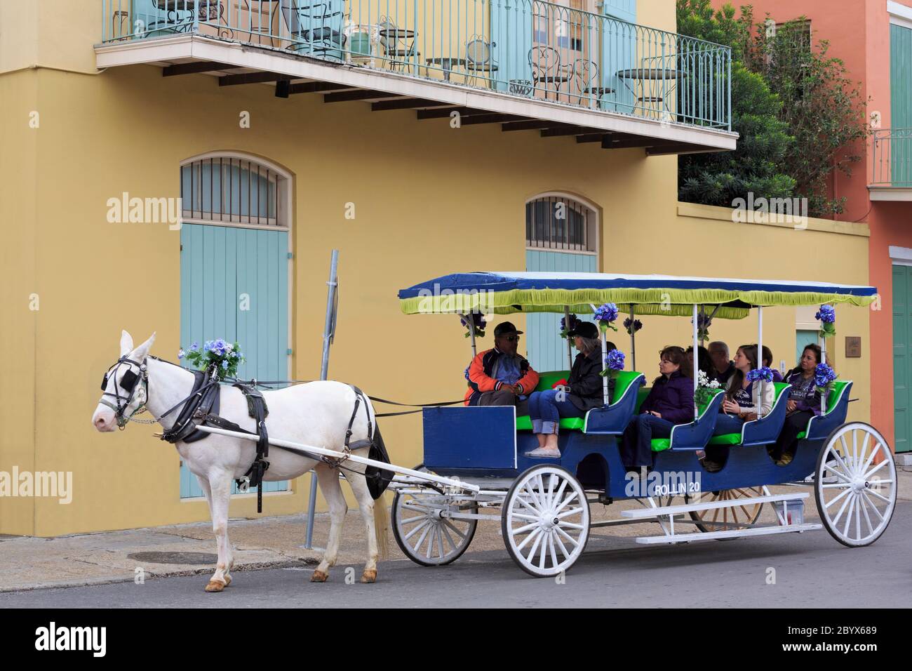 New orleans carriage horse hires stock photography and images Alamy