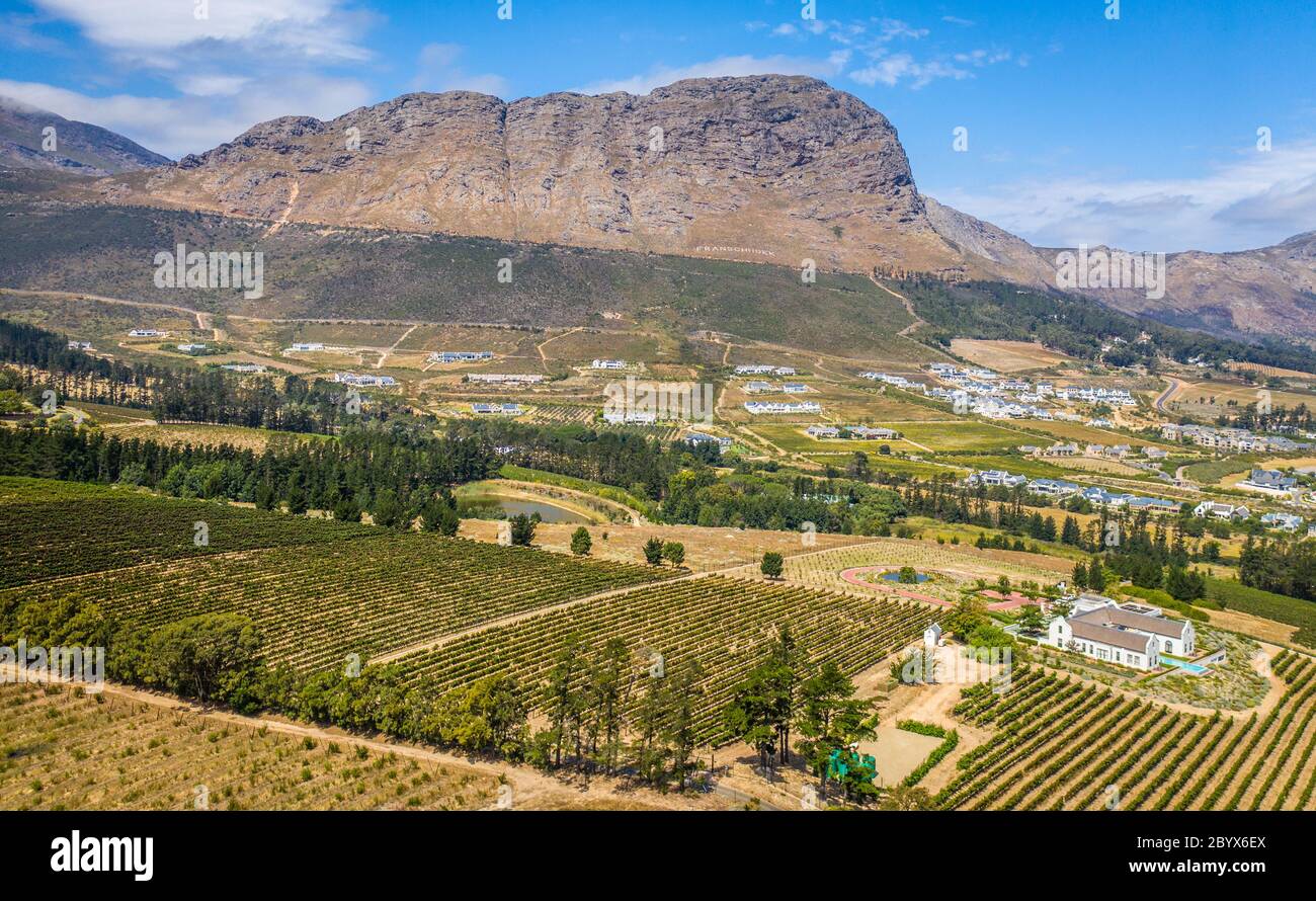 A Wide Open View Of The Vineyards Of Franschhoek s Wine Valley 