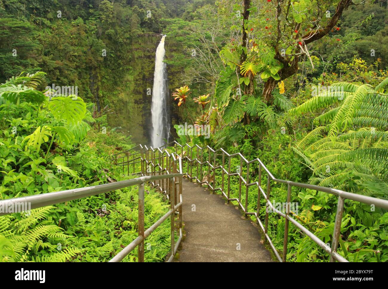 Scenic landscape with boardwalk and stairs to waterfall inside the rainforest. Akaka Falls State Park, Hawaii Big Island, USA. Stock Photo