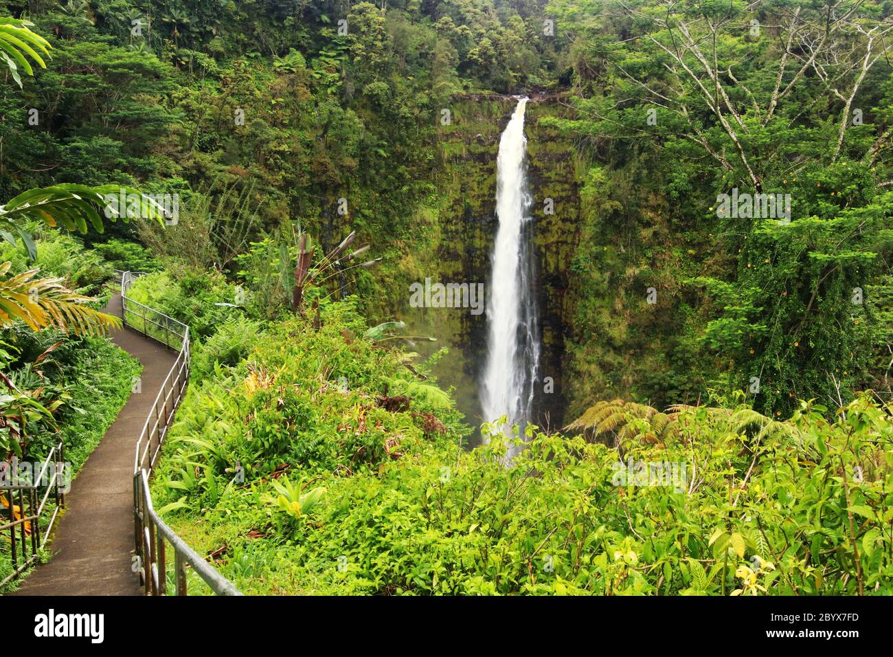 Scenic landscape with boardwalk to waterfall inside the rainforest. Akaka Falls State Park, Hawaii Big Island, USA. Stock Photo