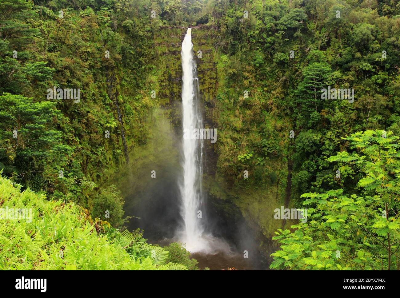Scenic landscape with waterfall inside rainforest. Akaka Falls State Park, Hawaii Big Island, USA. Stock Photo