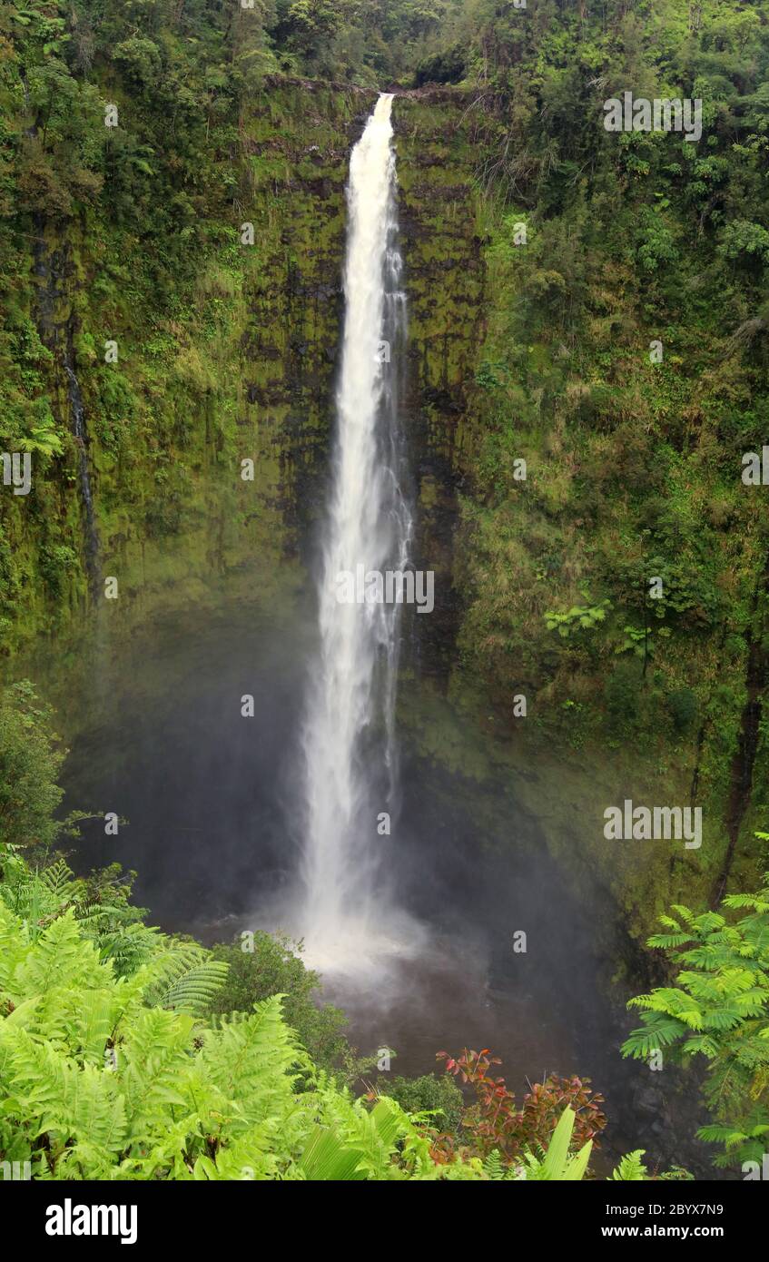 Scenic landscape with waterfall inside rainforest. Akaka Falls State Park, Hawaii Big Island, USA. Vertical composition. Stock Photo