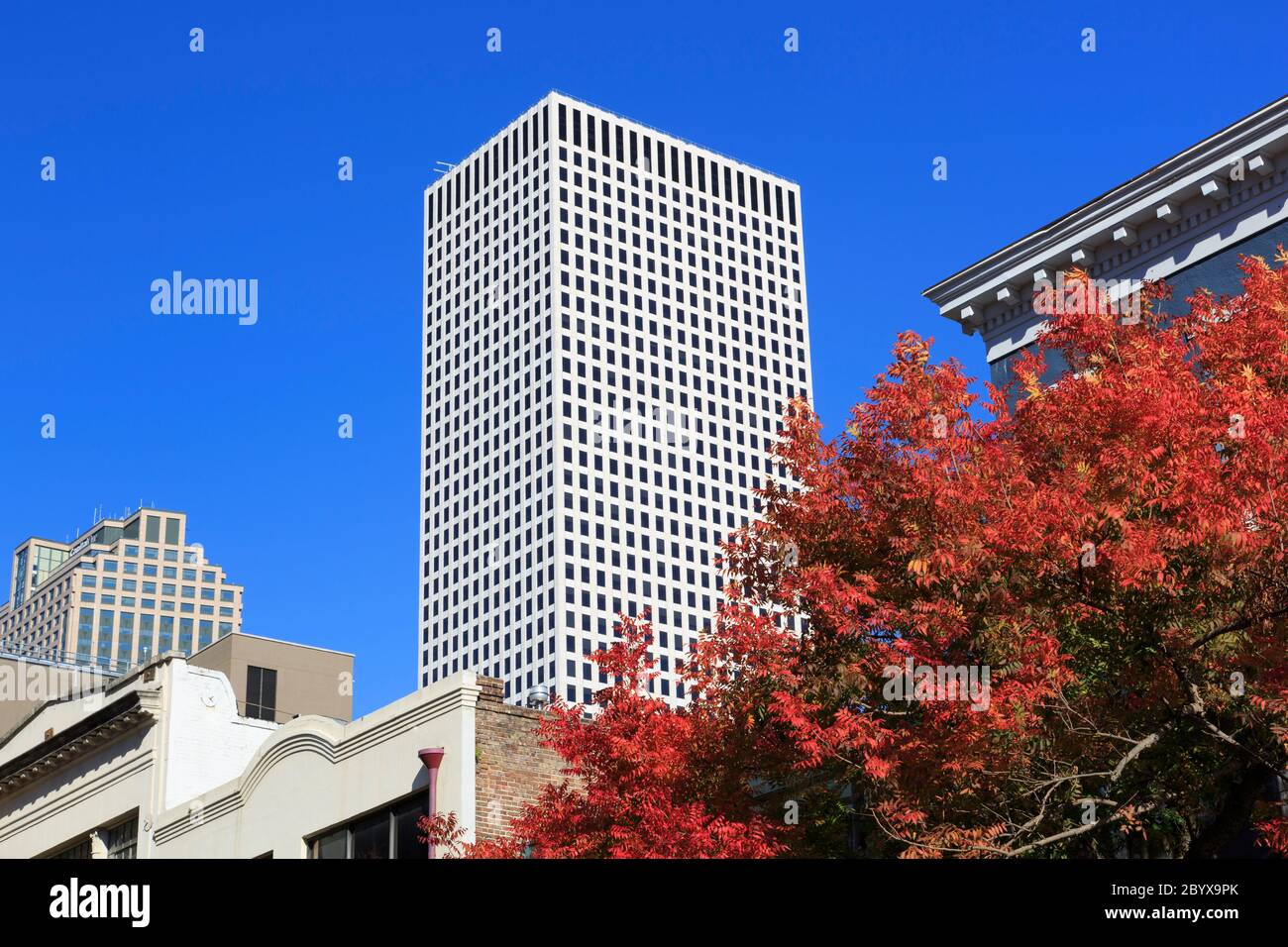 Warehouse District, New Orleans, Louisiana, USA Stock Photo Alamy