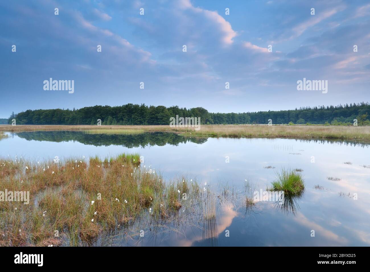 Blue sky reflected in pond hi-res stock photography and images - Alamy