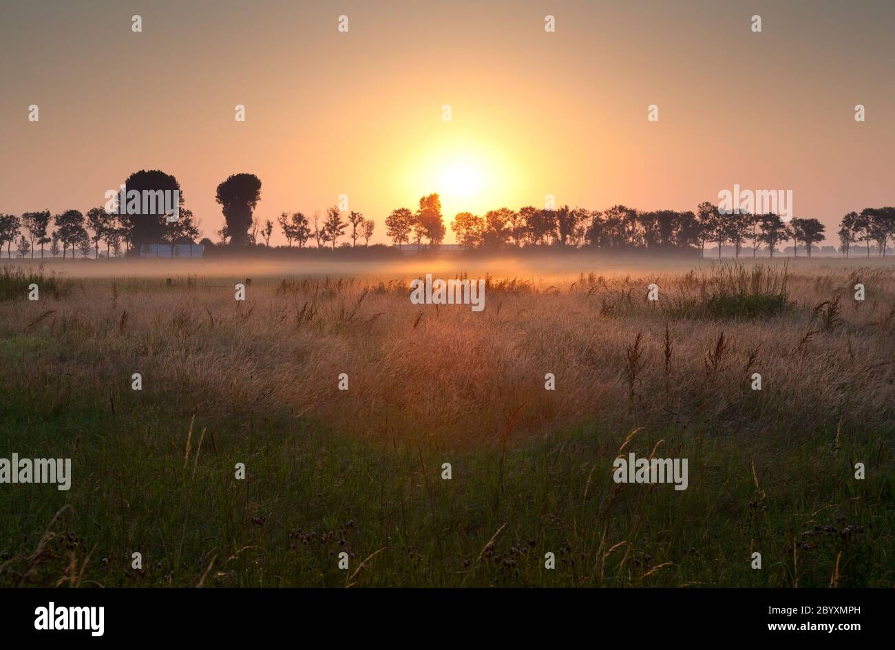 sunrise over misty meadow Stock Photo - Alamy