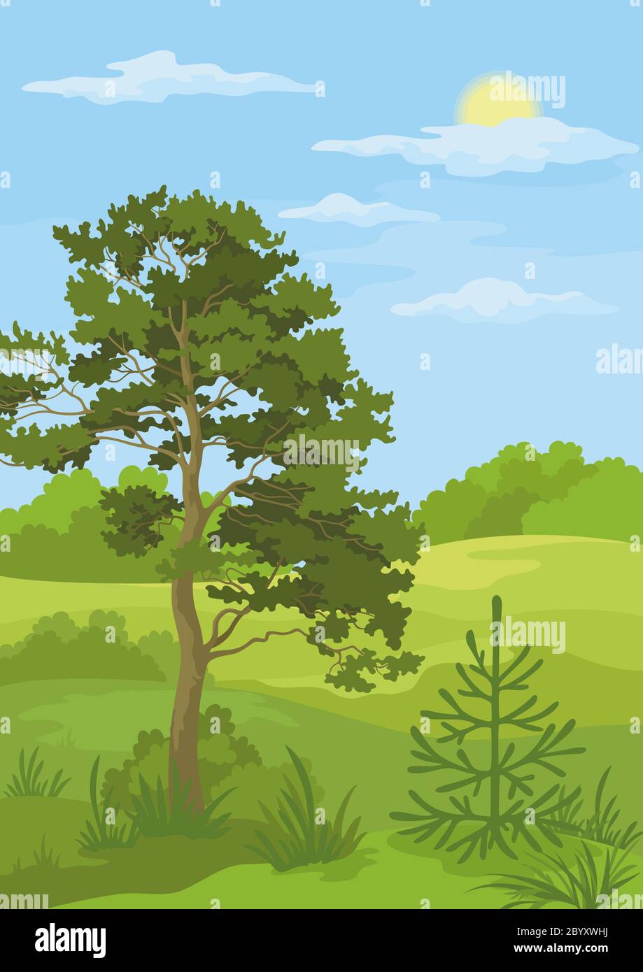 Summer sky landscape trees hi-res stock photography and images - Alamy