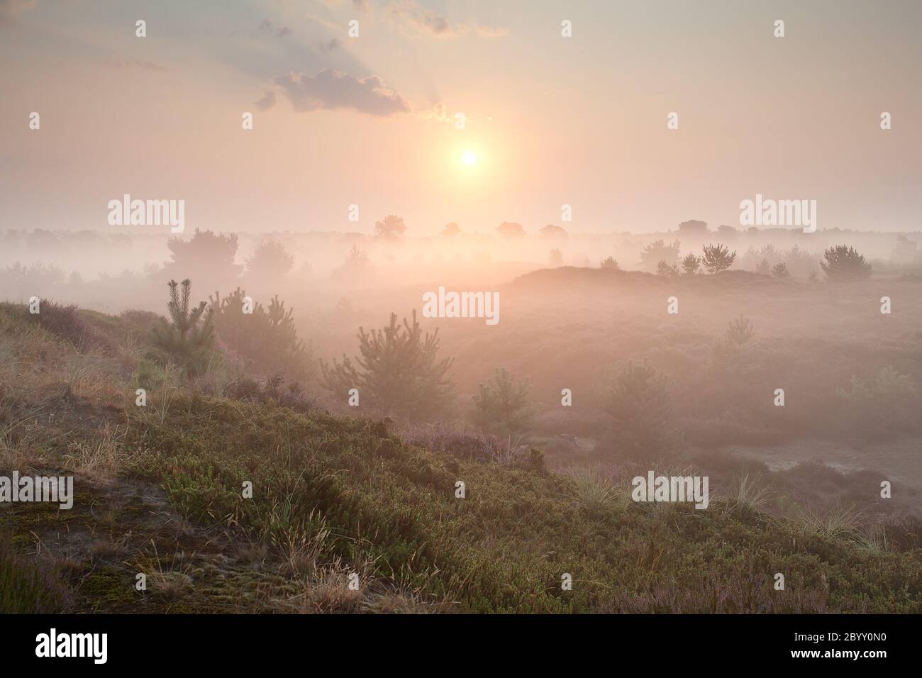 Sunrise hills hi-res stock photography and images - Alamy