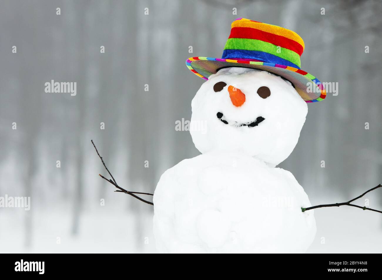 winter funny snowman Stock Photo