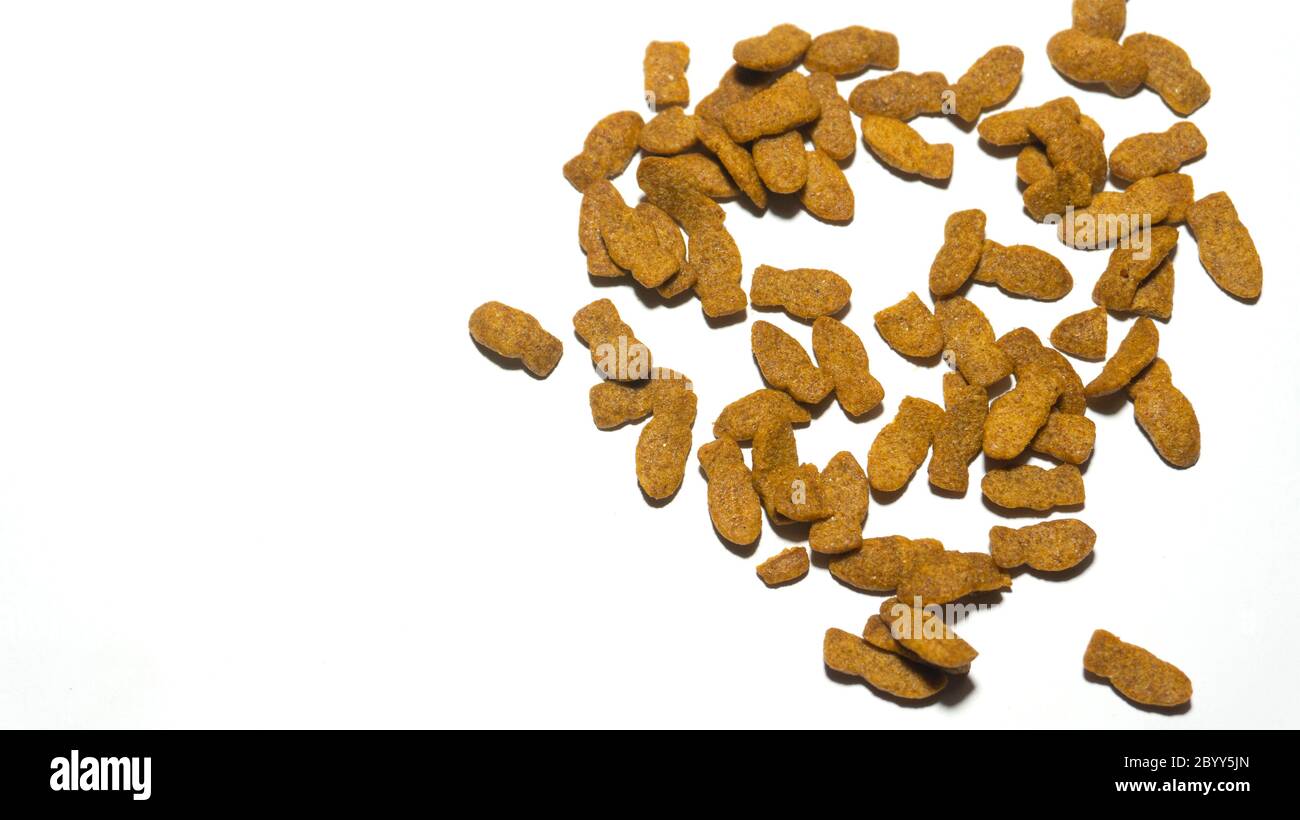 Dry Cat food in isolated mode, modern cat foods with more nutrition and