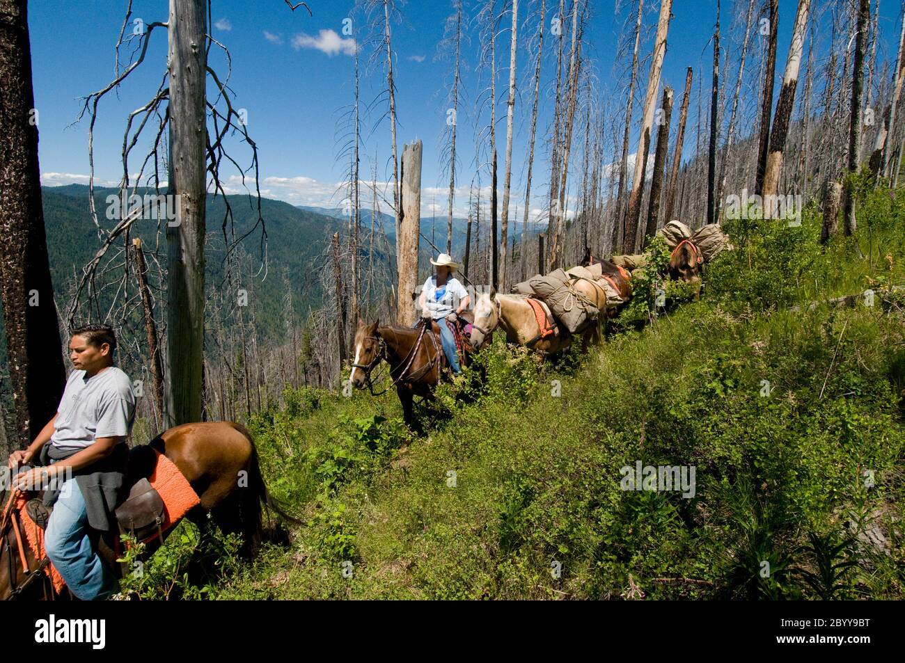Horsepacking into Meadow Creek from Indian Hill in the Nez Perce National Forest ID Stock Photo