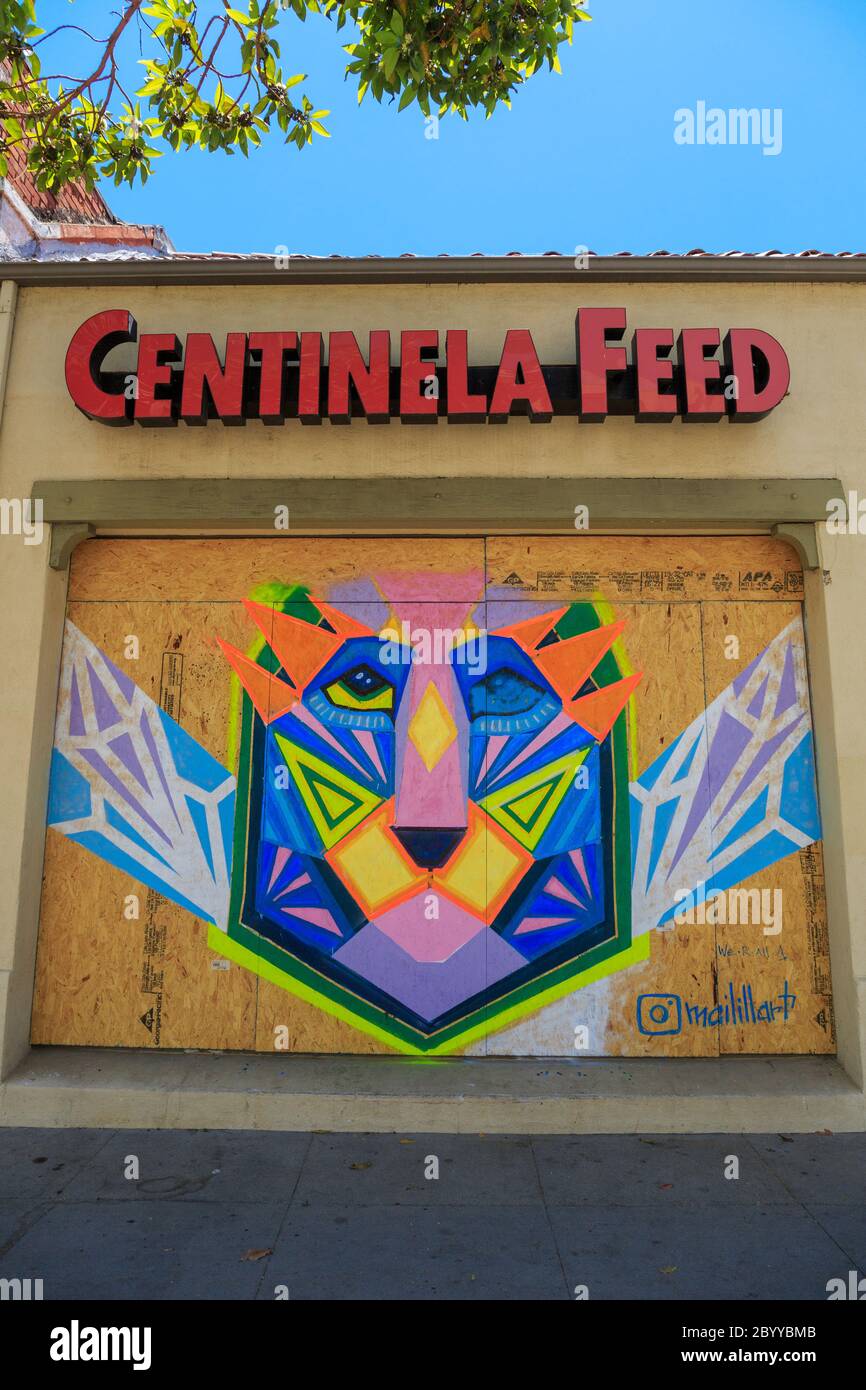 Painted murals protesting the murder of George Floyd on plywood boards covering storefront windows on Lincoln Blvd, Santa Monica, Los Angeles,  California Stock Photo