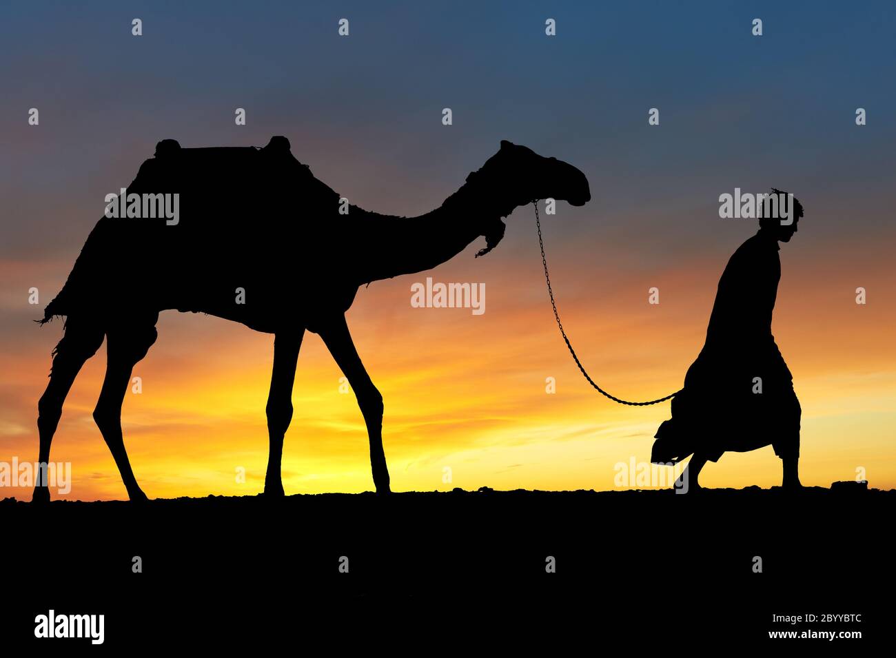 Silhouette of Arab with camel at sunrise Stock Photo