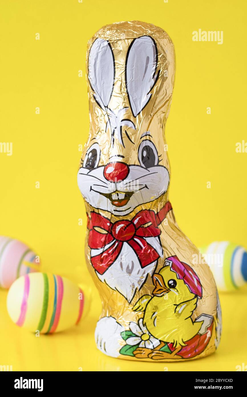 chocolate easter bunny and eggs Stock Photo Alamy