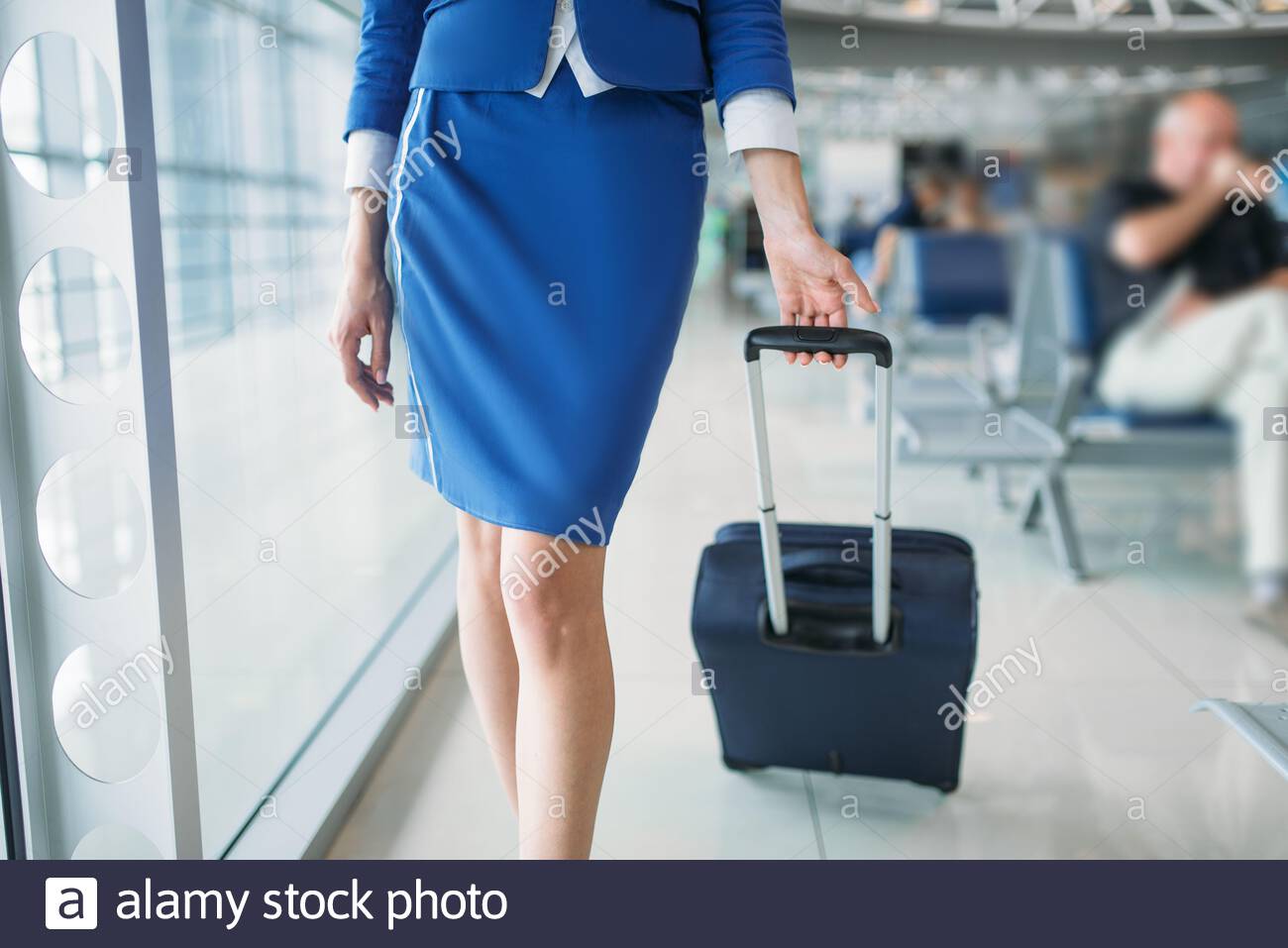 air hostess trolley bags