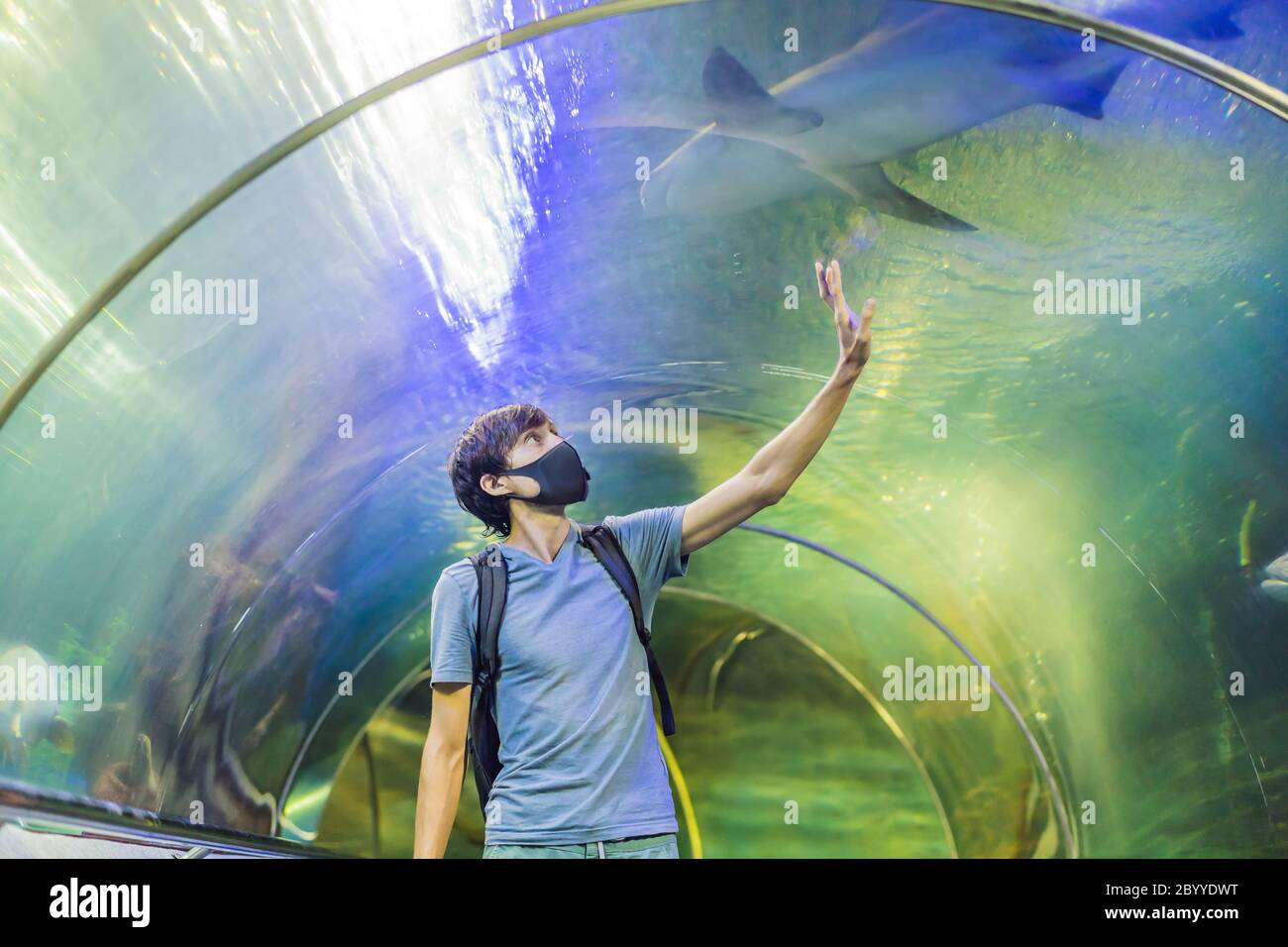 Man in medical masks look at the fish in the aquarium in oceanarium. People  walk in medical masks after the end of the coronovirus Stock Photo - Alamy