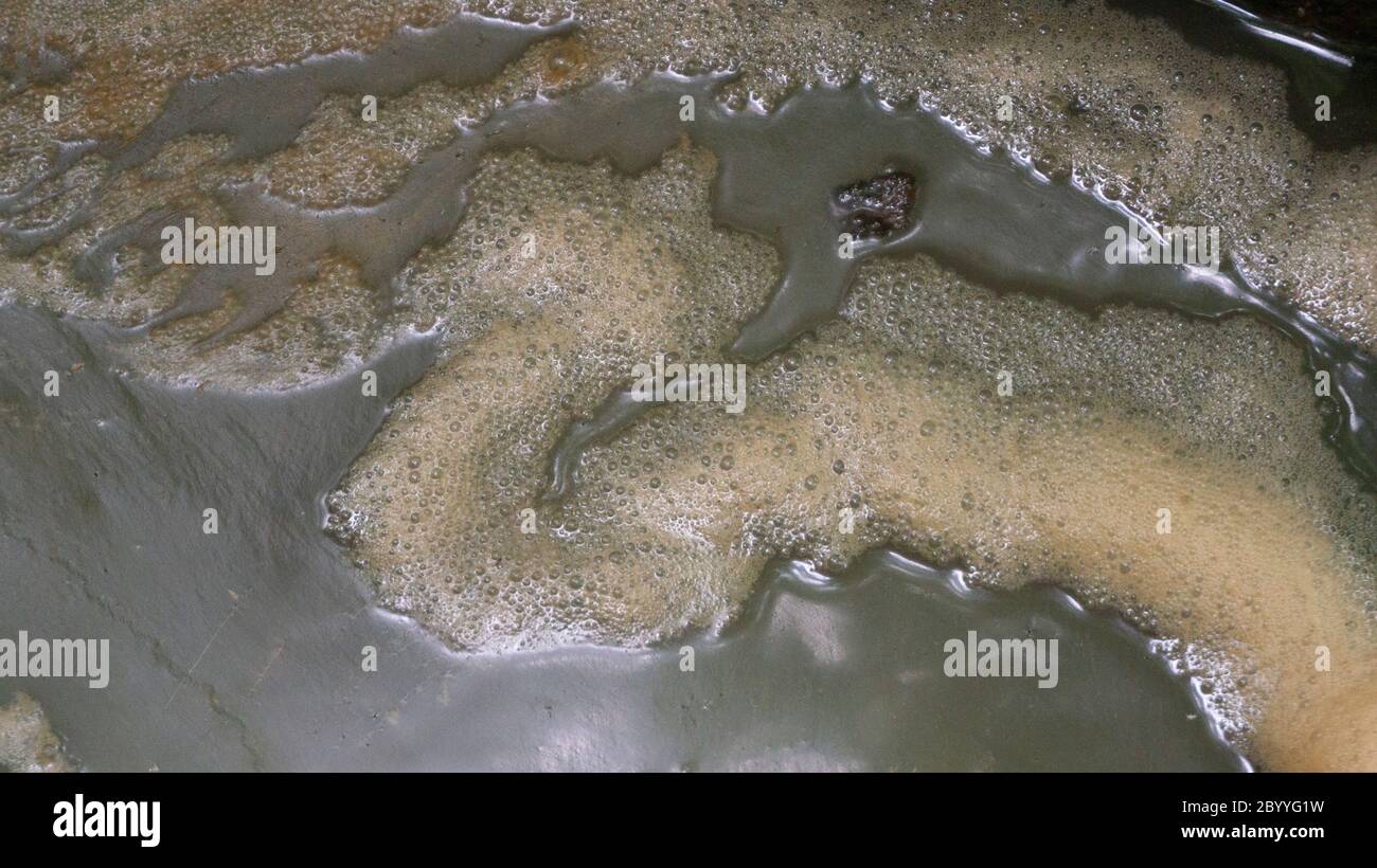 Scum bubbles floating on a surface of polluted water Stock Photo Alamy