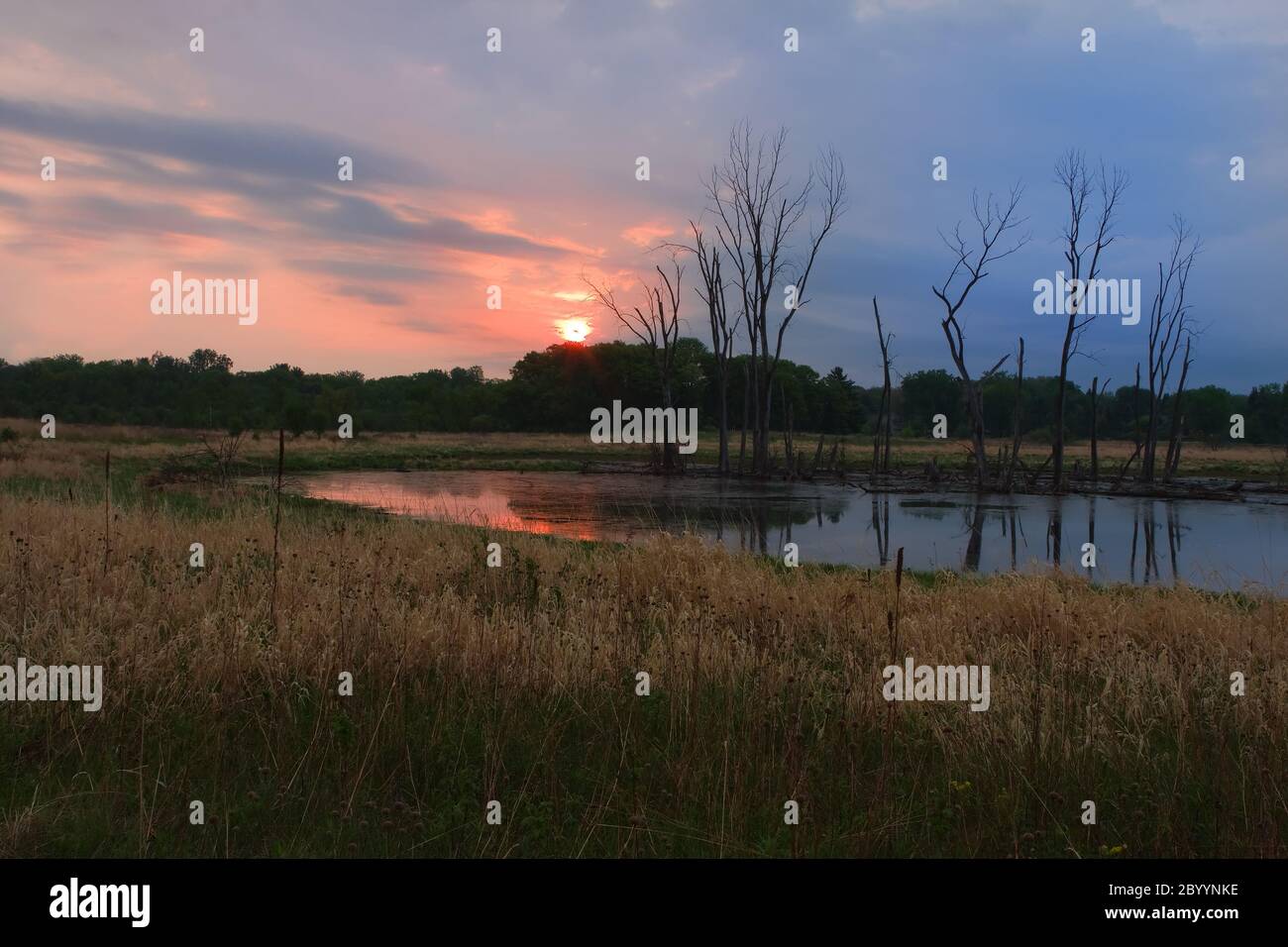 Romantic woodlands hires stock photography and images Alamy