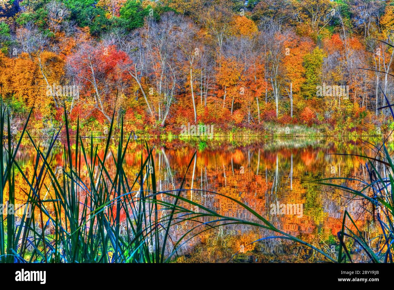 Reflections of Autumn in High Dynamic Range Stock Photo