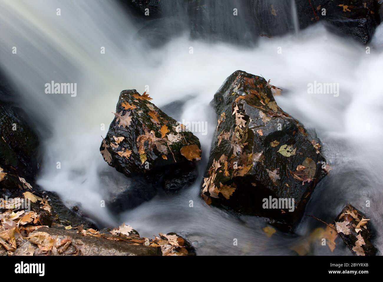 Smooth Water Stock Photo
