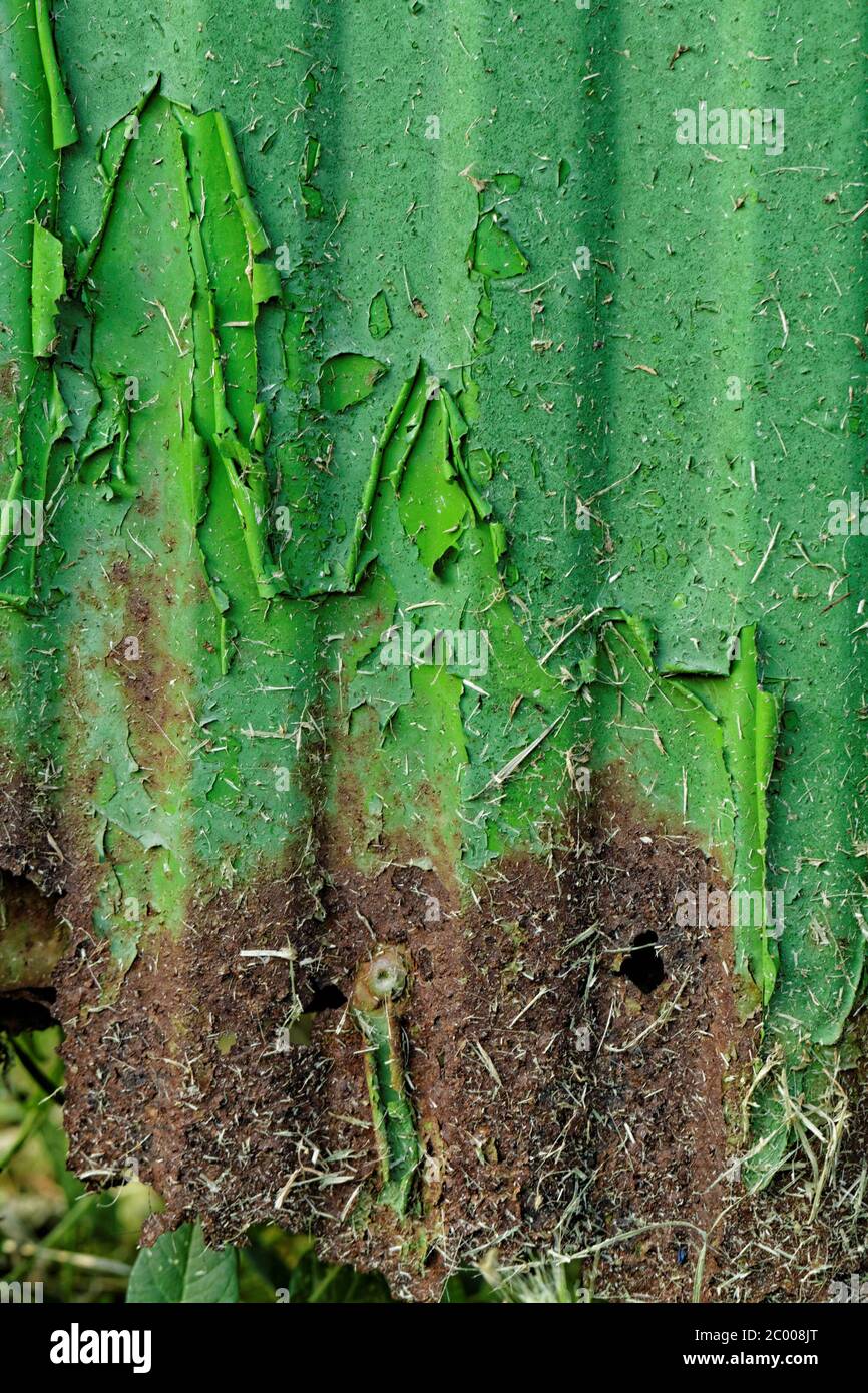 Close up photo of a green and rusty fence Stock Photo - Alamy
