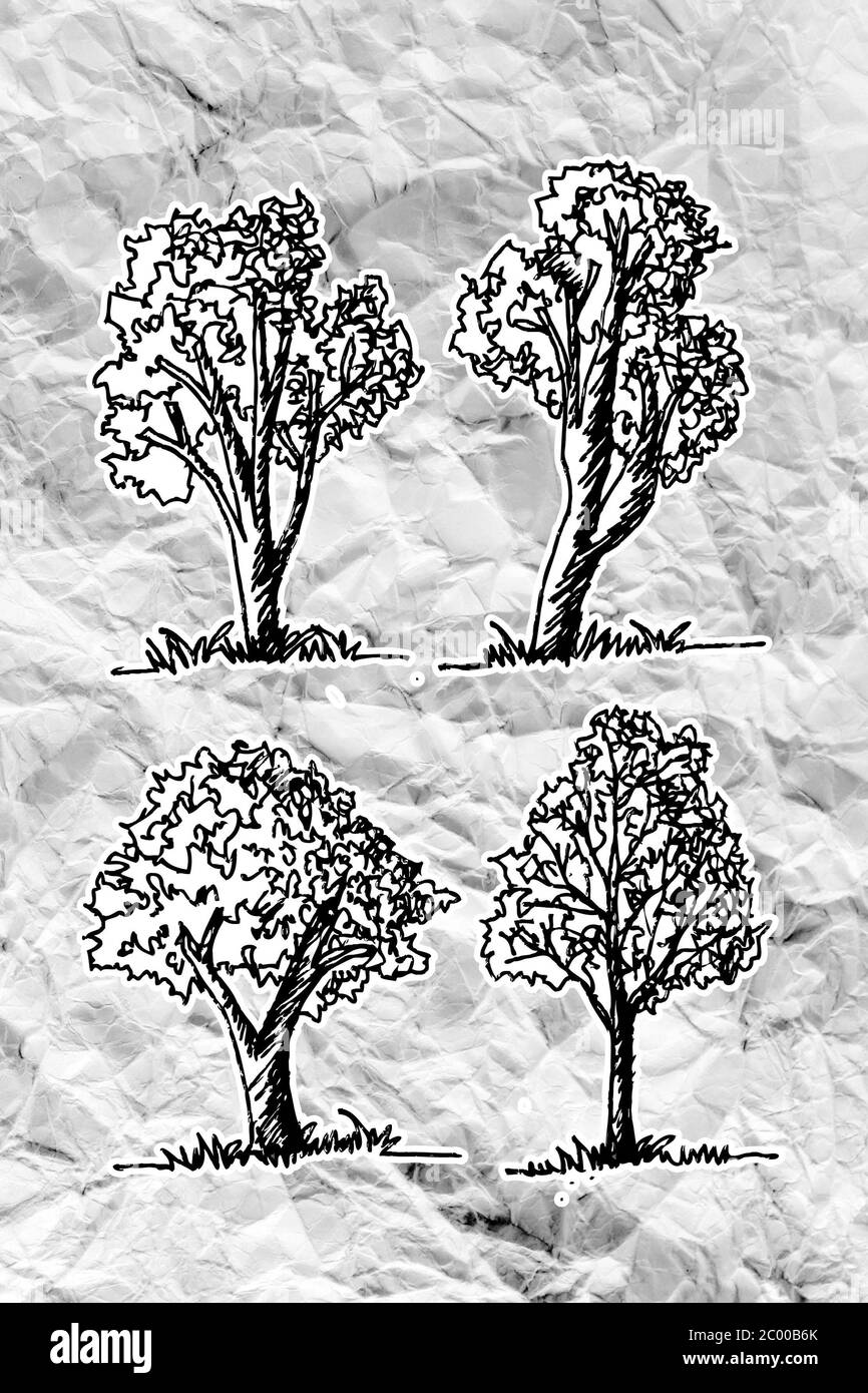 Set of trees with leaves on crumpled paper Stock Photo